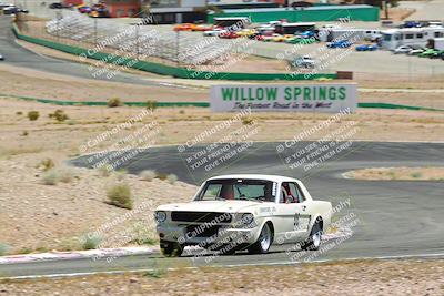 media/May-07-2022-Cobra Owners Club of America (Sat) [[e681d2ddb7]]/White/Session 3 (Turn 3)/